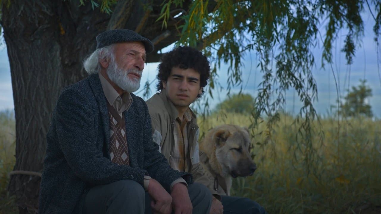 Արարատ Կղզիの背景画像