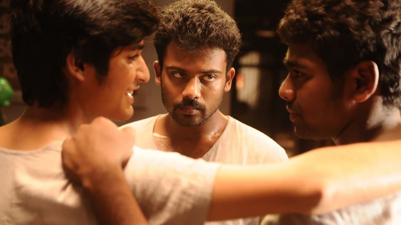 சகாの背景画像