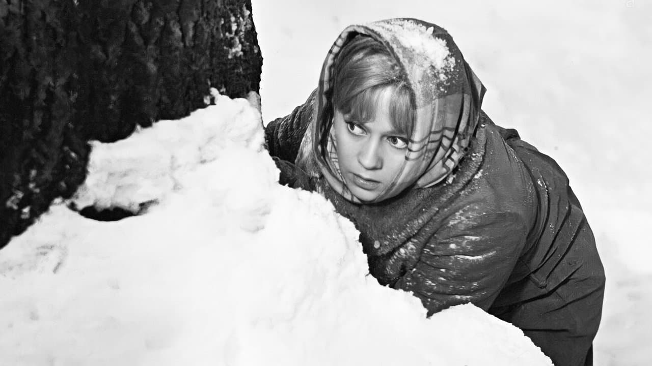 Русский лесの背景画像