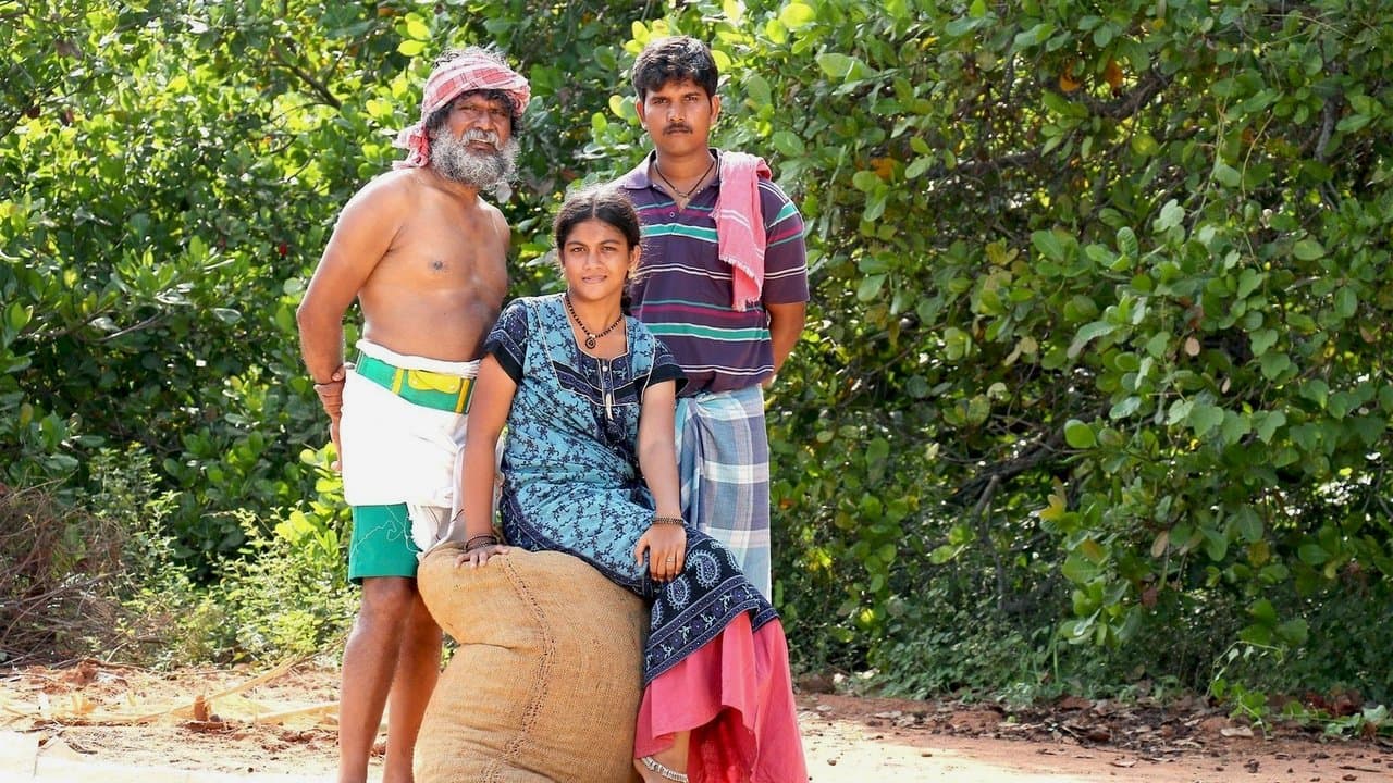 முந்திரிக்காடுの背景画像