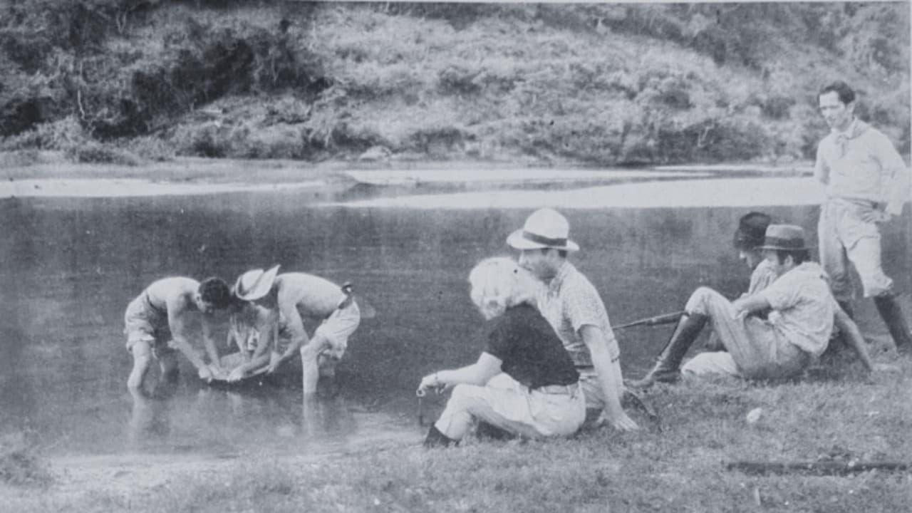 Sedução do Garimpoの背景画像