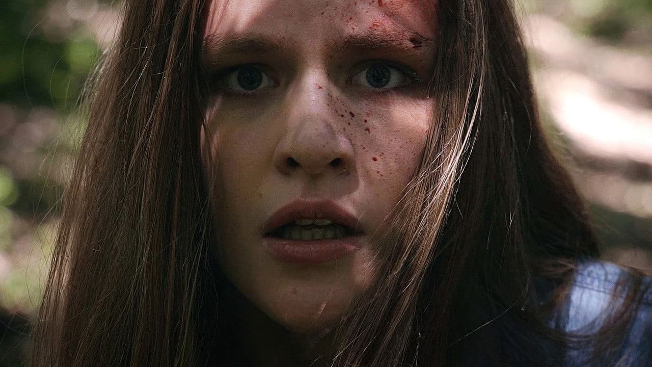 Negli occhi della predaの背景画像