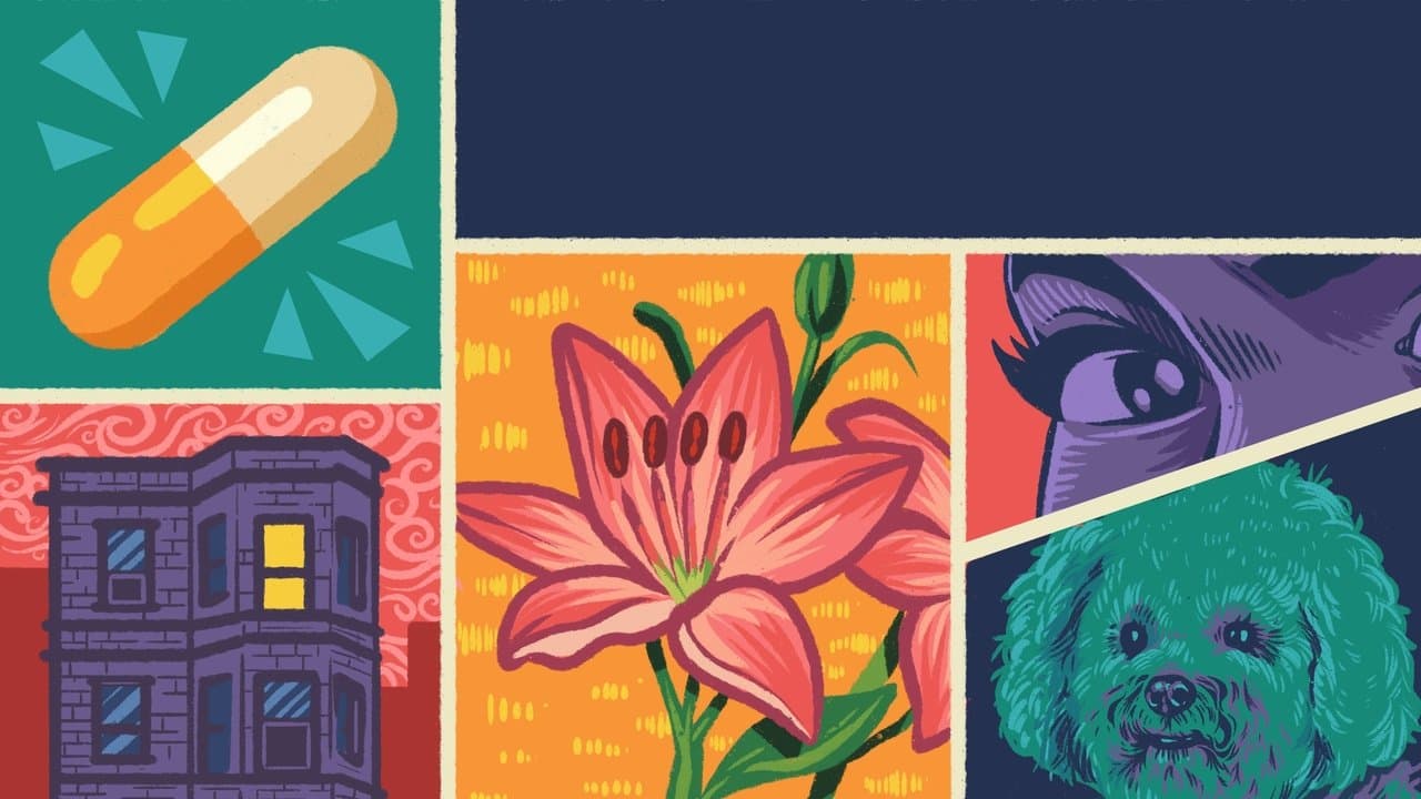 That Nightの背景画像