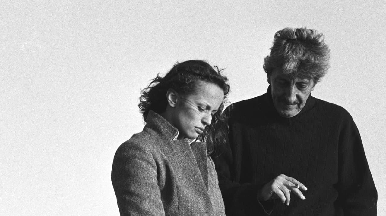 自由、夜の背景画像