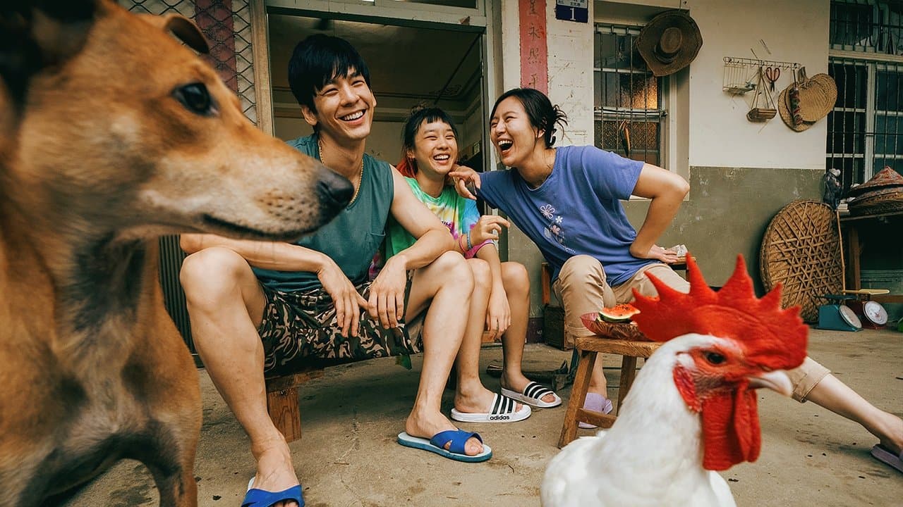 サリーの背景画像