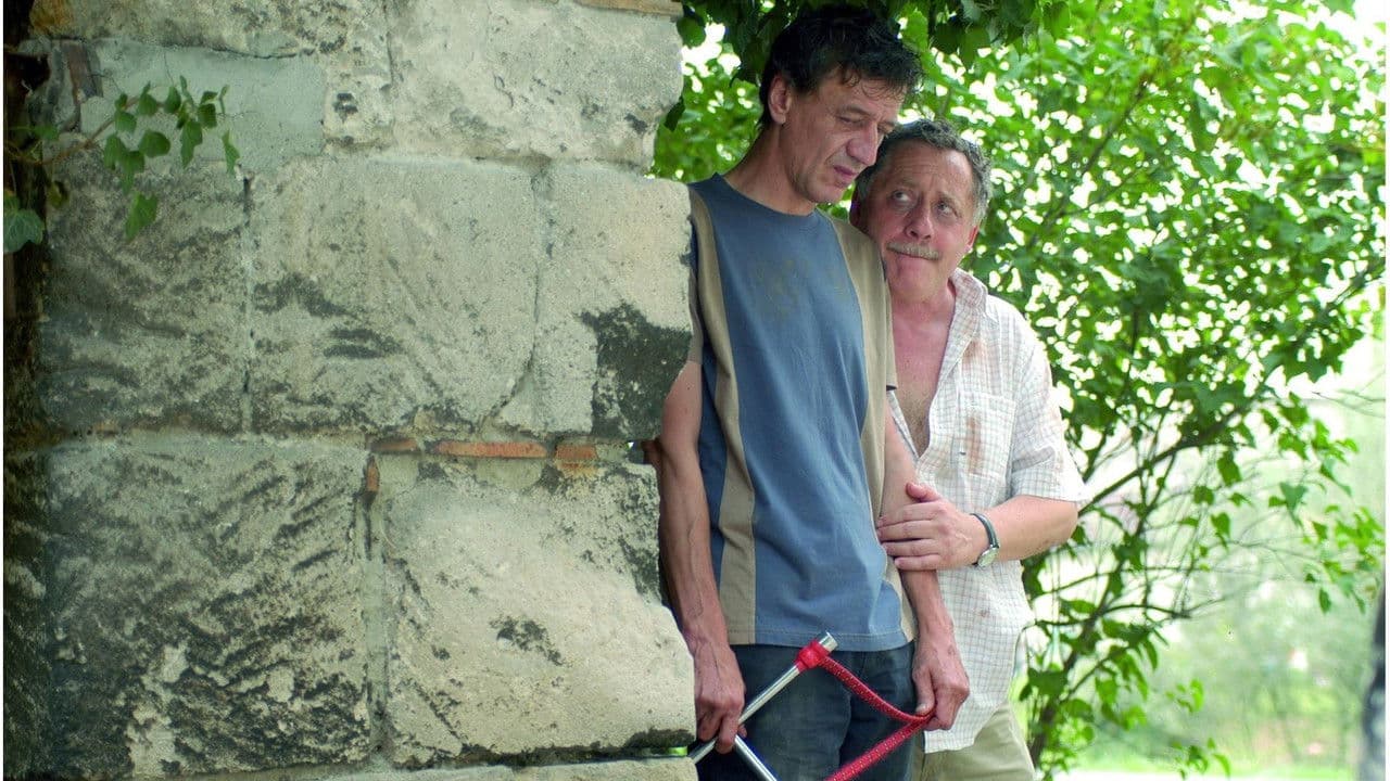 Montecarlo!の背景画像