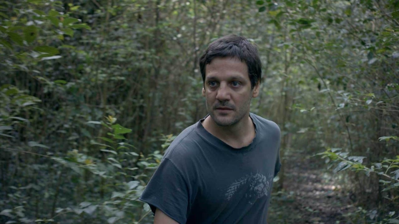 Al acechoの背景画像