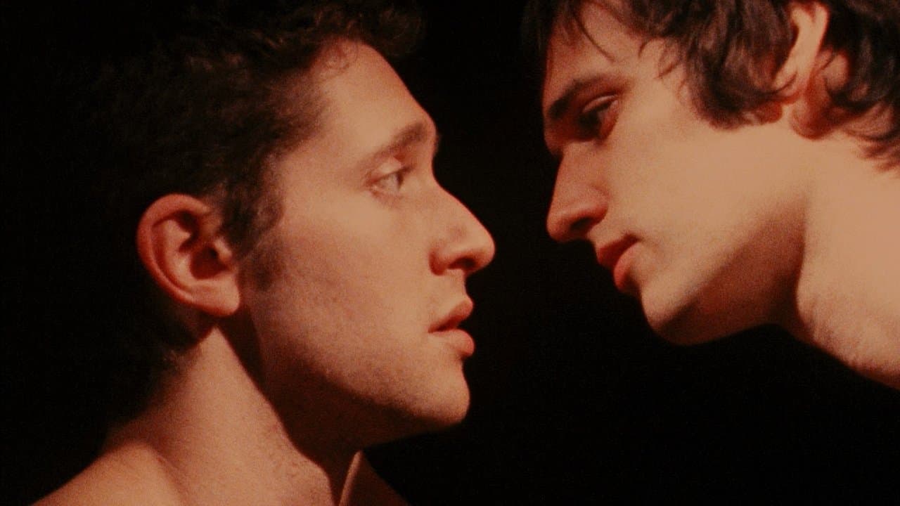 Sun Kissedの背景画像