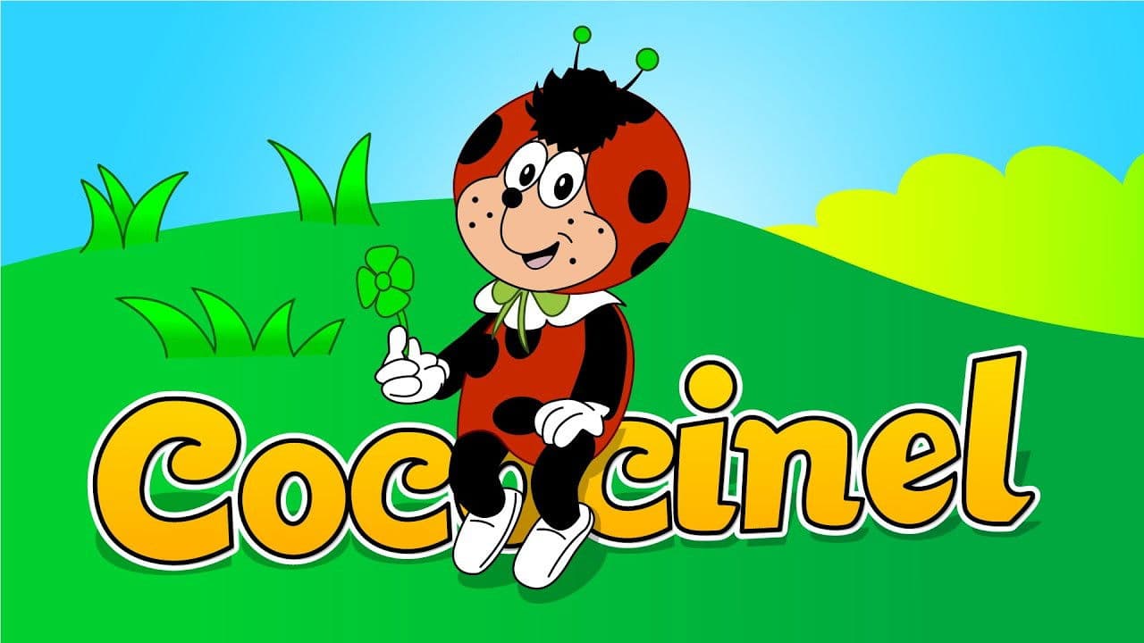 Cococinelの背景画像