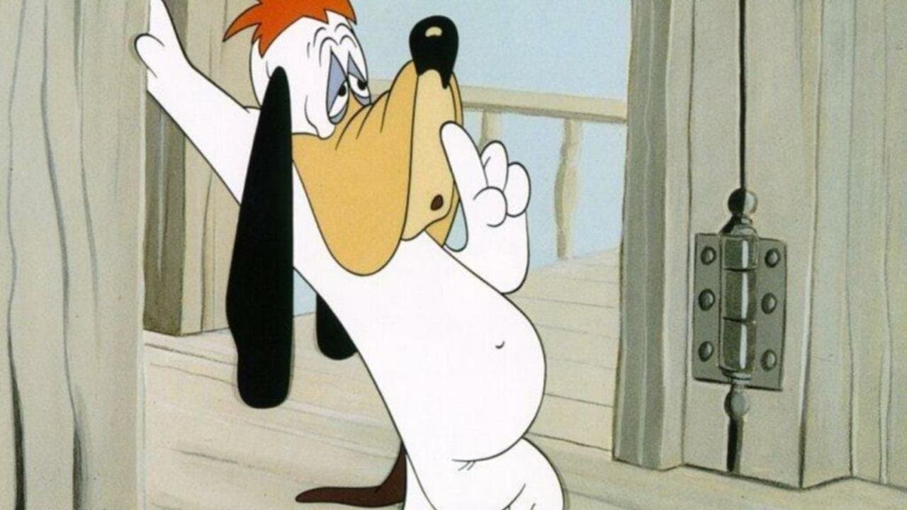 Dumb-Houndedの背景画像