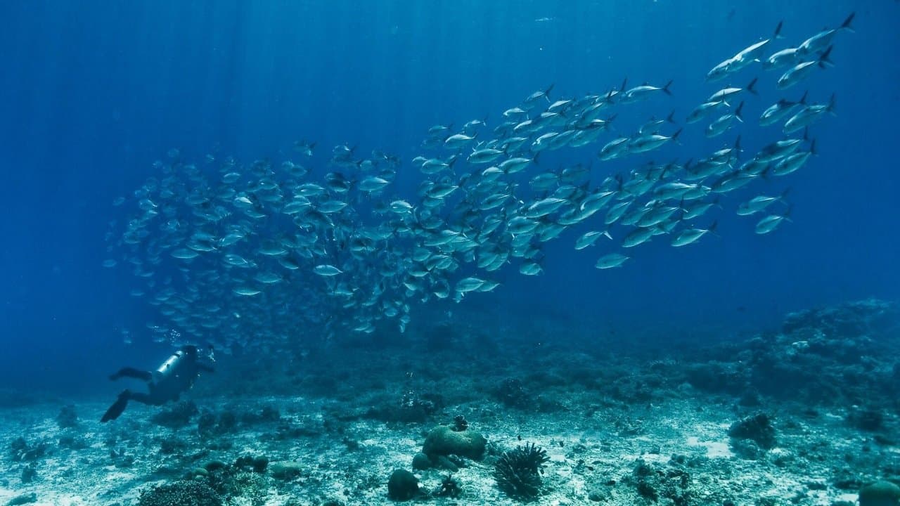 The End of the Lineの背景画像