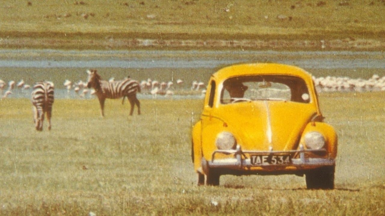 Ein Käfer geht auf's Ganzeの背景画像