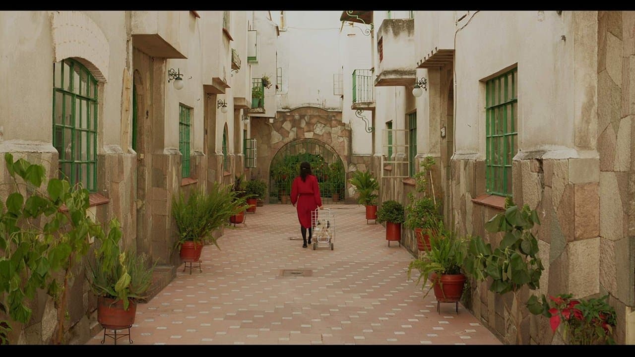 Noches de Julioの背景画像