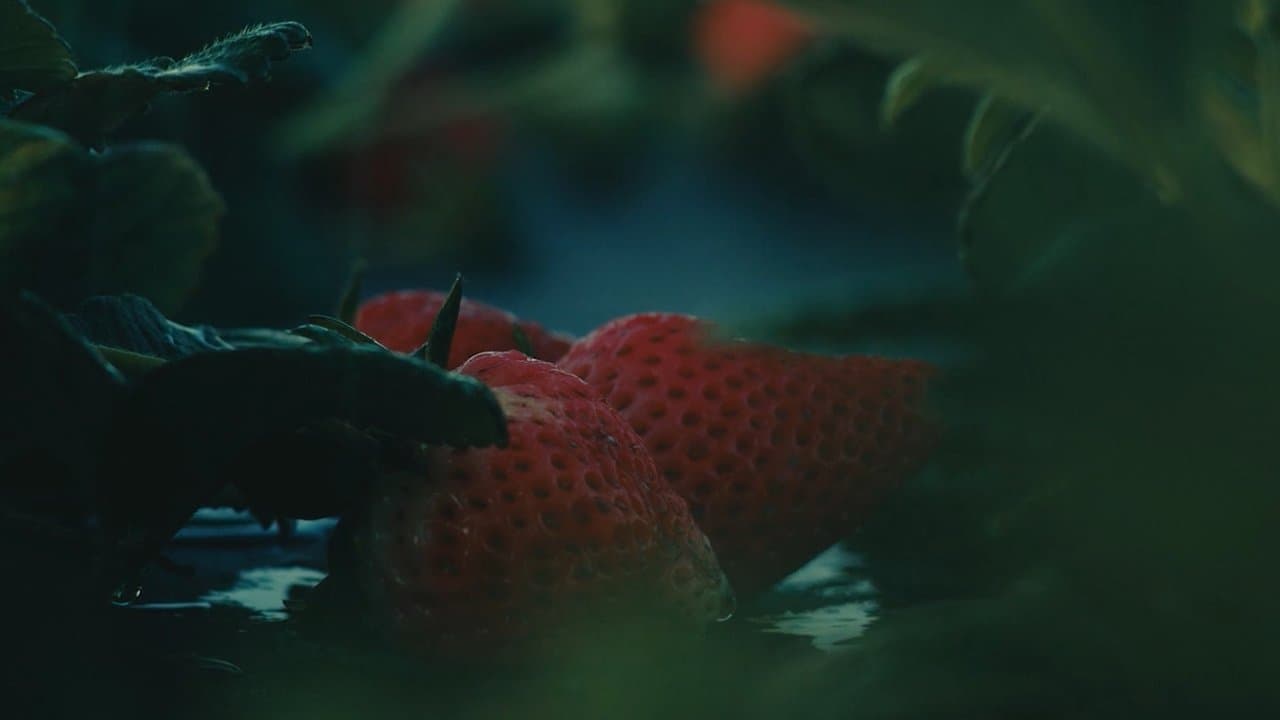 The Ballad of Tita and the Machinesの背景画像