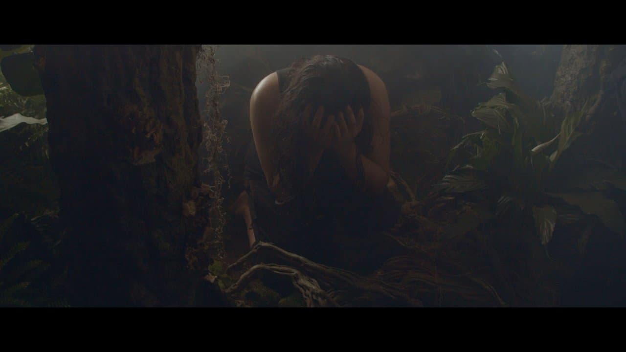 Antonの背景画像