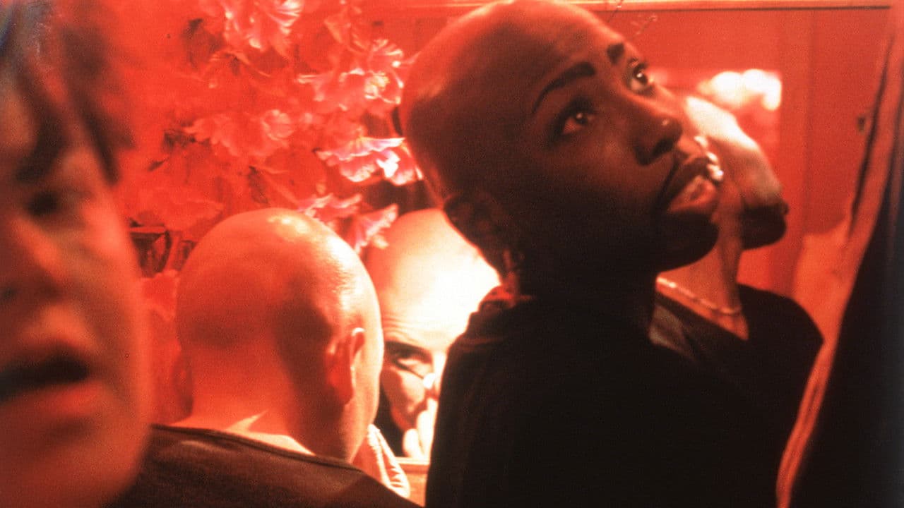 Venus Boyzの背景画像