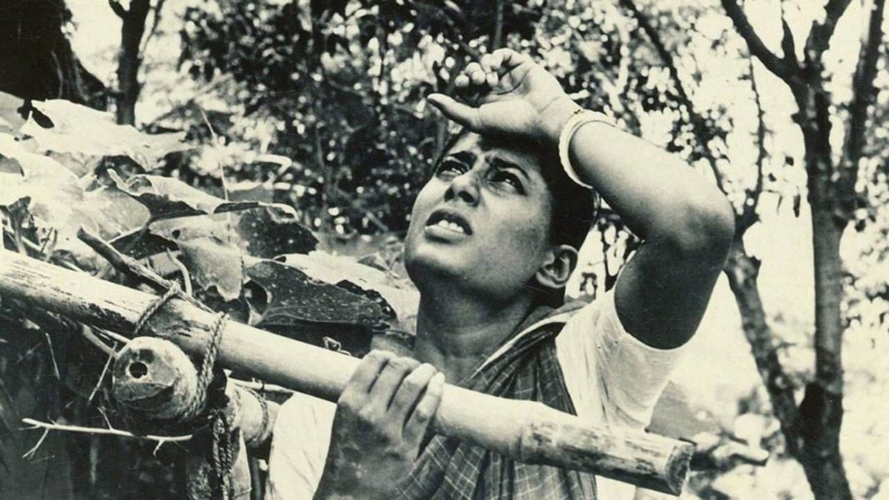 আকালের সন্ধানেの背景画像