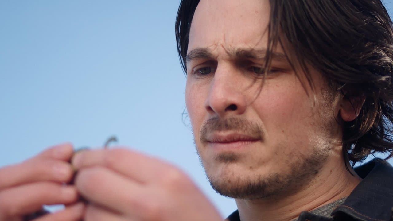 Chicken Coopの背景画像