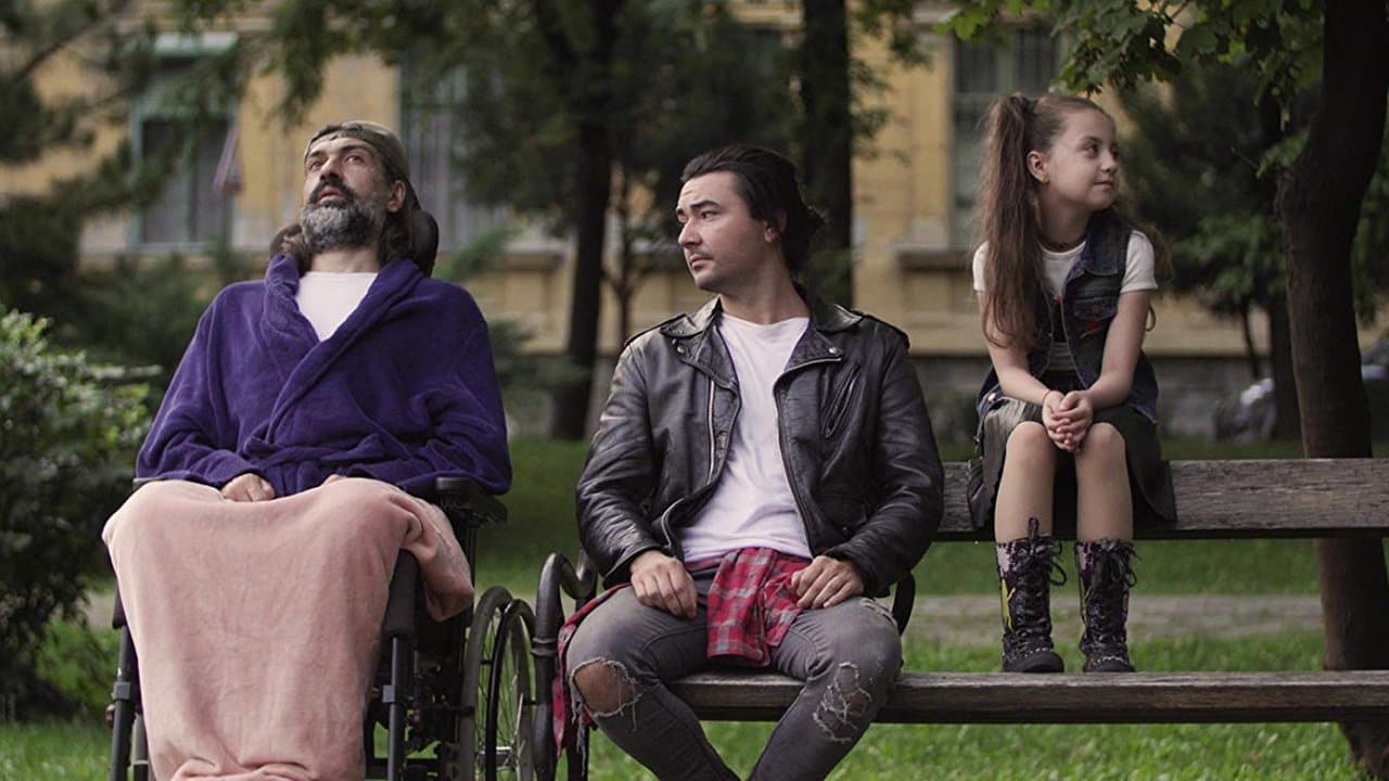 Casa din copacの背景画像