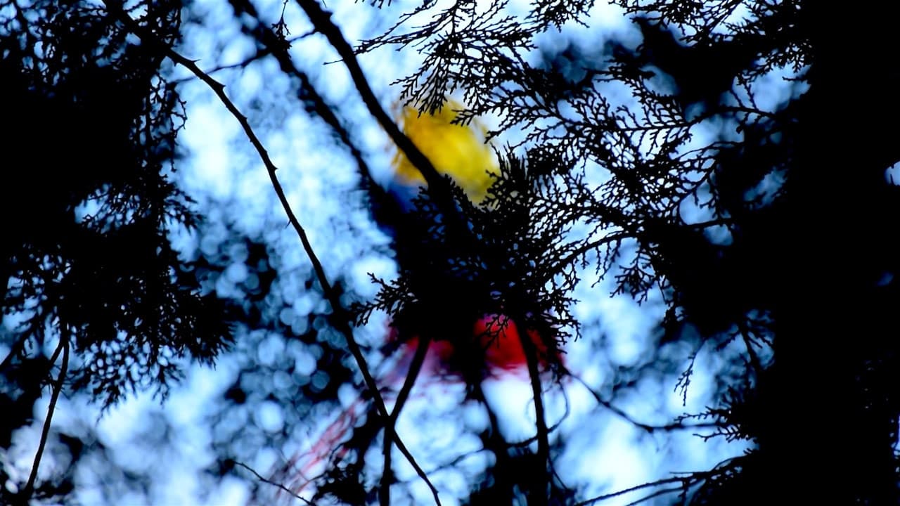 Mérida, Tiempo y Naufragio.の背景画像