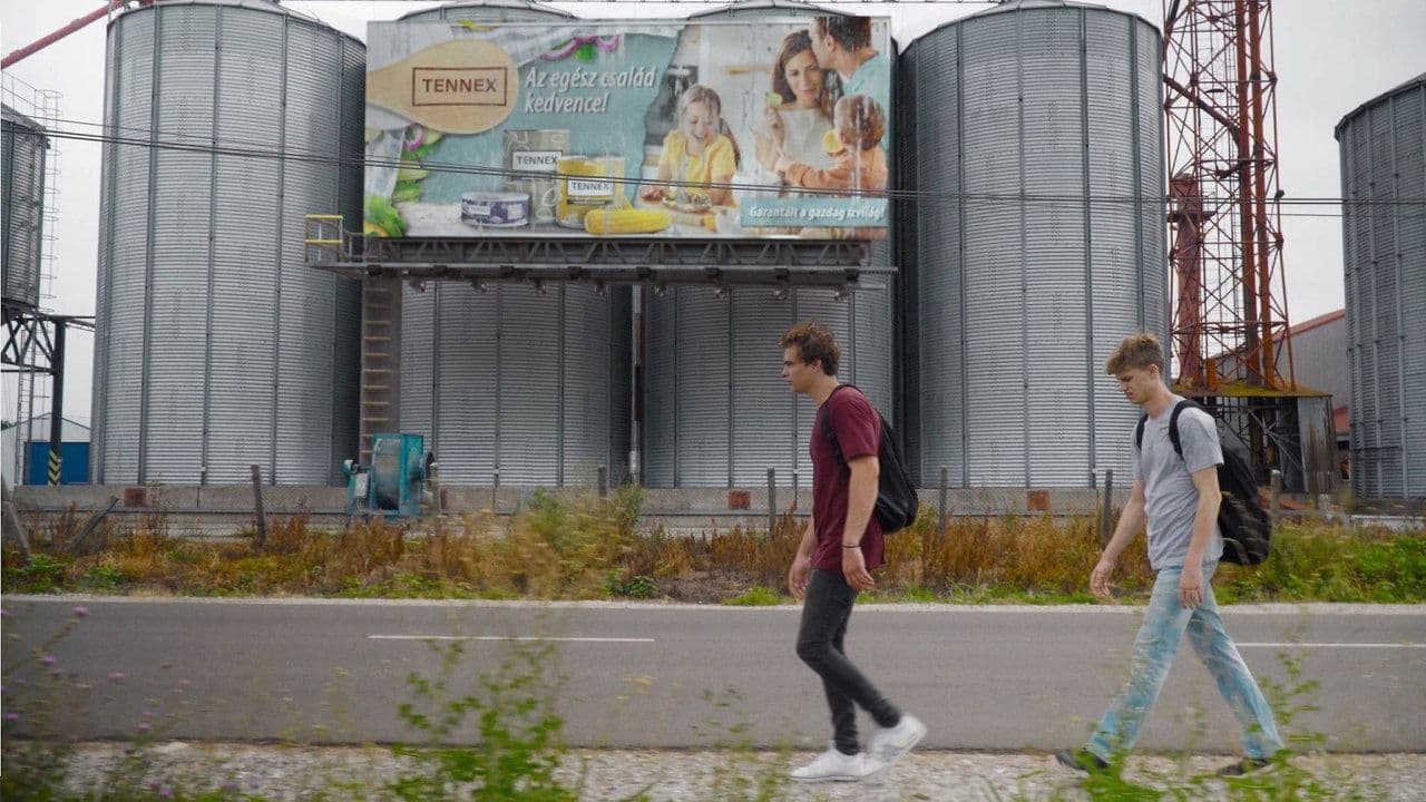 Reklámzajの背景画像