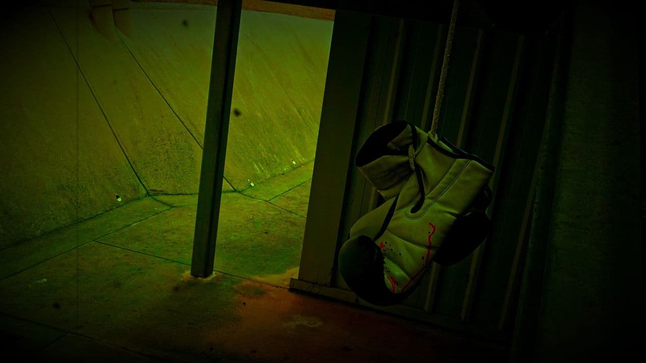 Trapped In Sightの背景画像