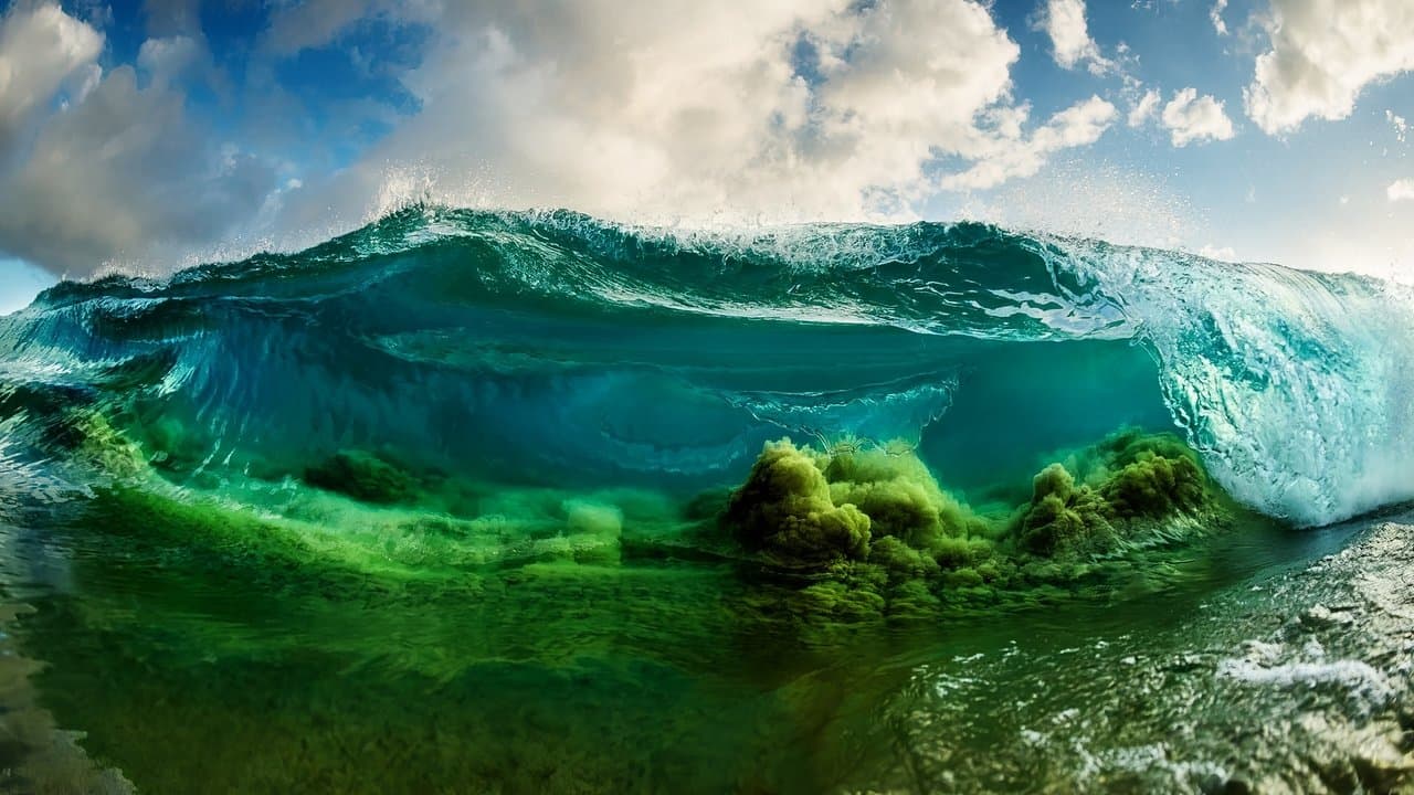Shorebreak: The Clark Little Storyの背景画像