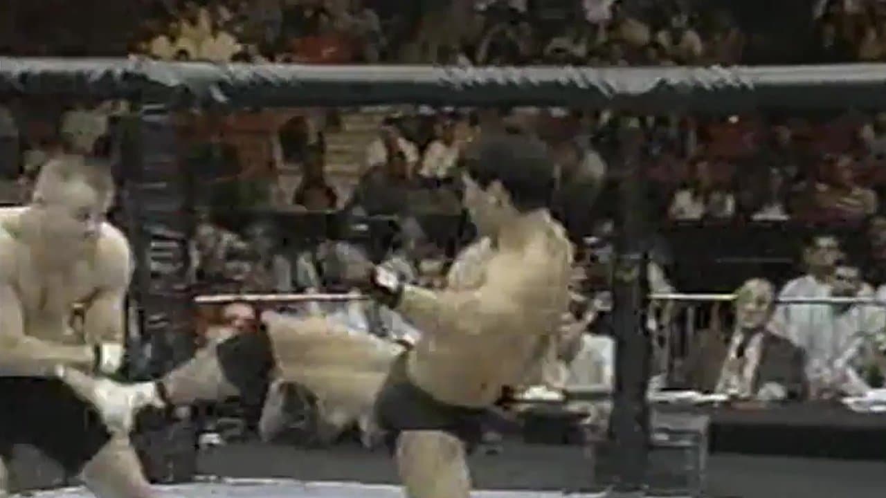 UFC 17: Redemptionの背景画像