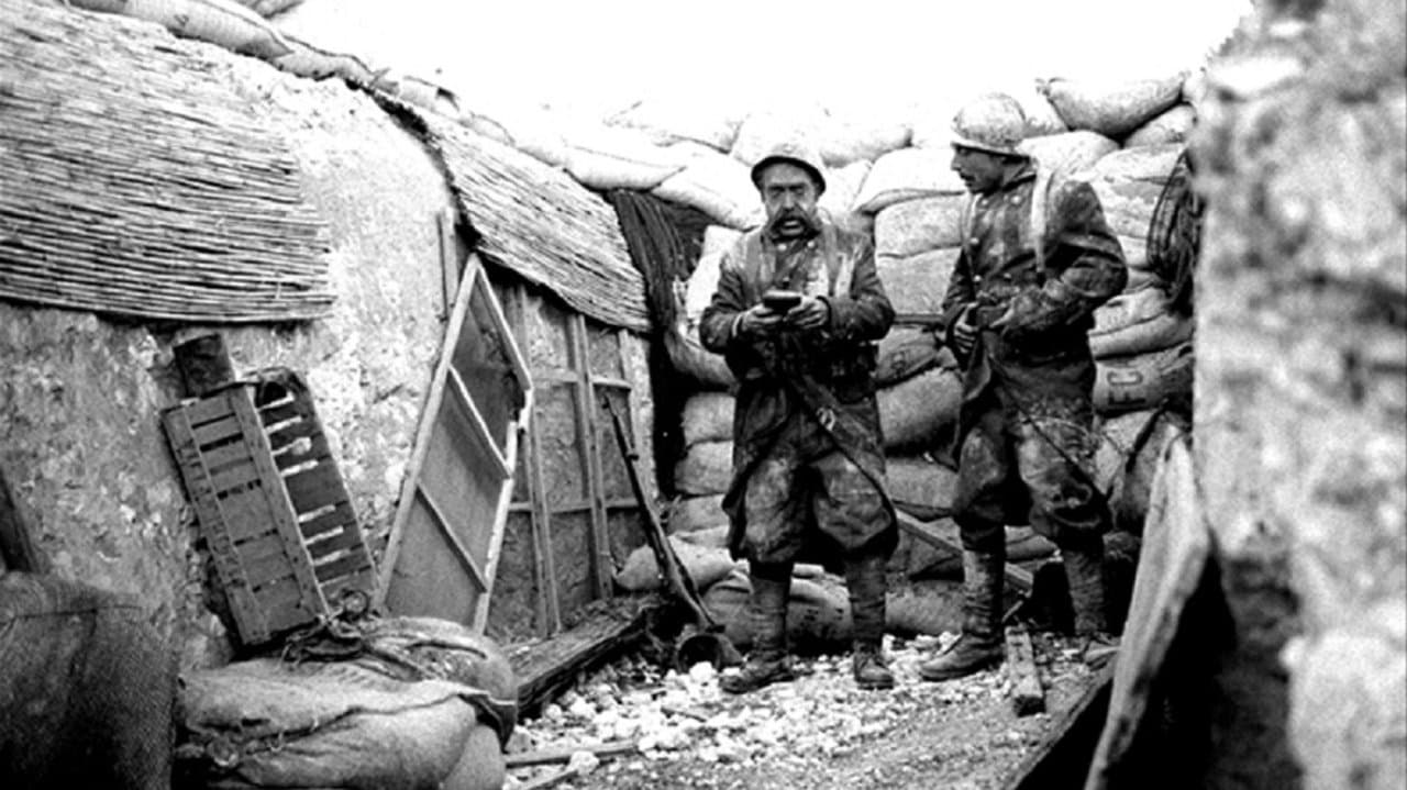 Chat noirの背景画像