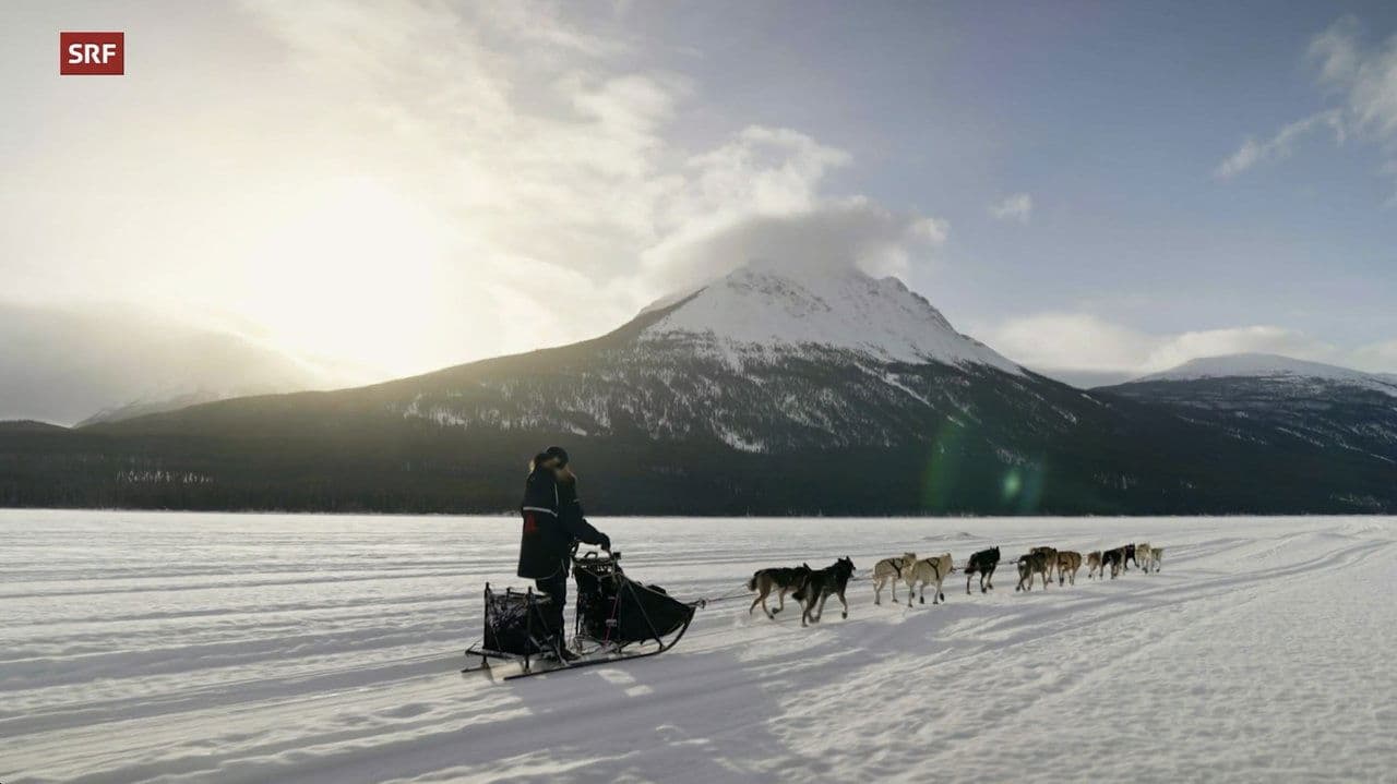 Musher, l'appel de l'Alaskaの背景画像