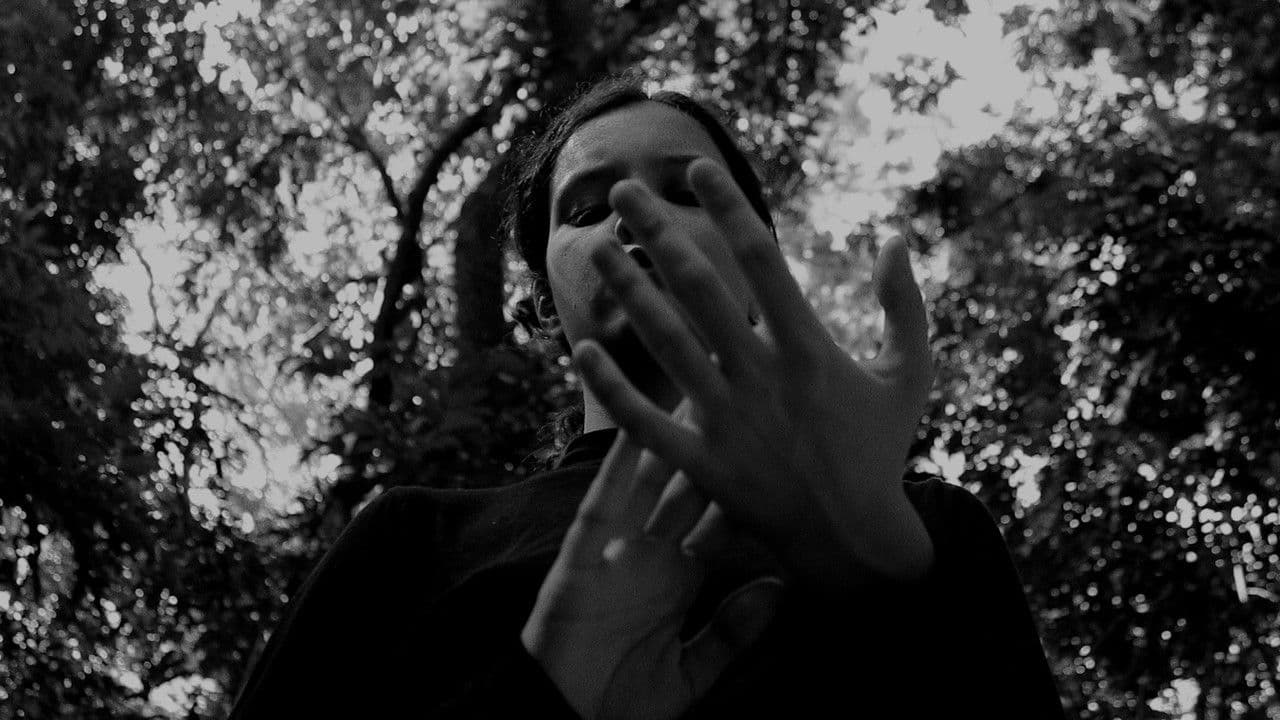 No Decurso da Vidaの背景画像