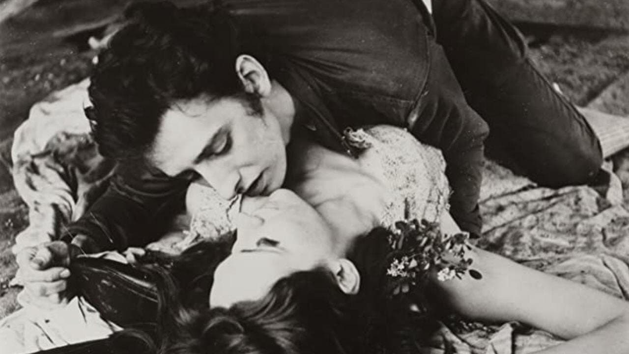 The Degeneratesの背景画像