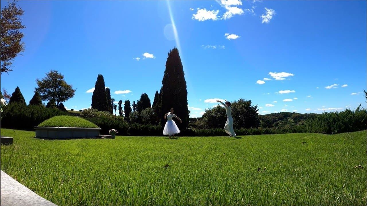 무덤과 유언: 딸을 위한 영화강의の背景画像