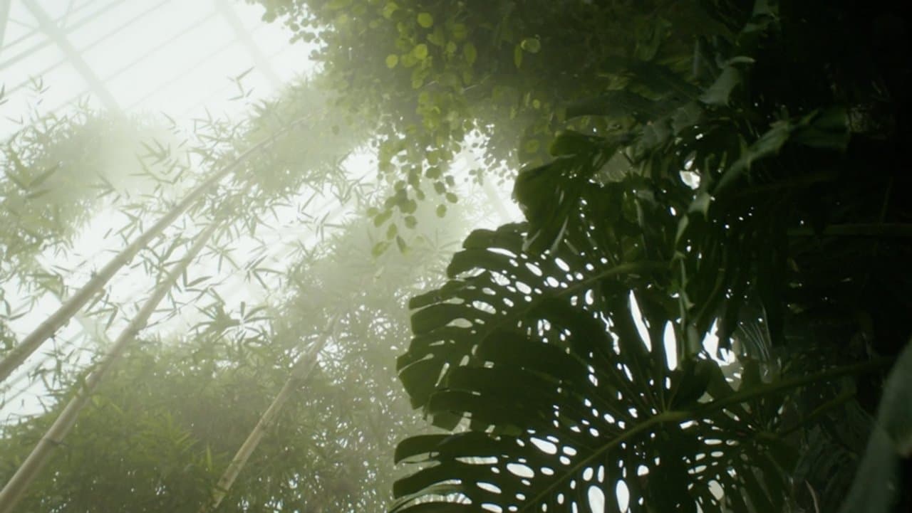 Paradise Lost?の背景画像