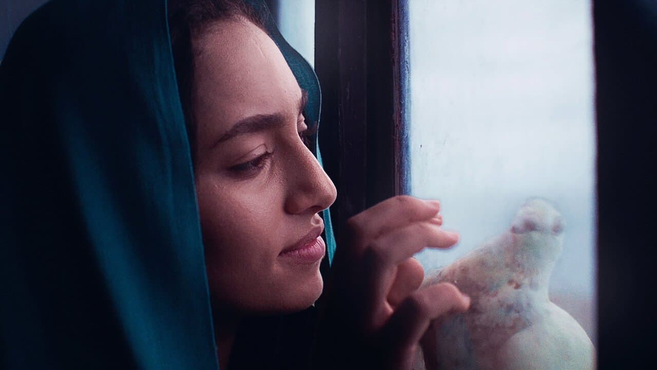 بلا موطنの背景画像