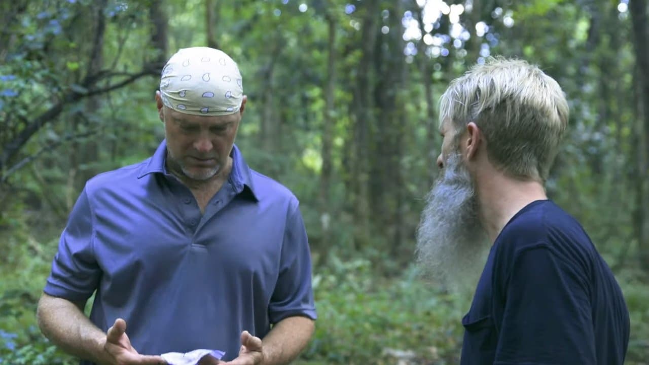 The Pitの背景画像