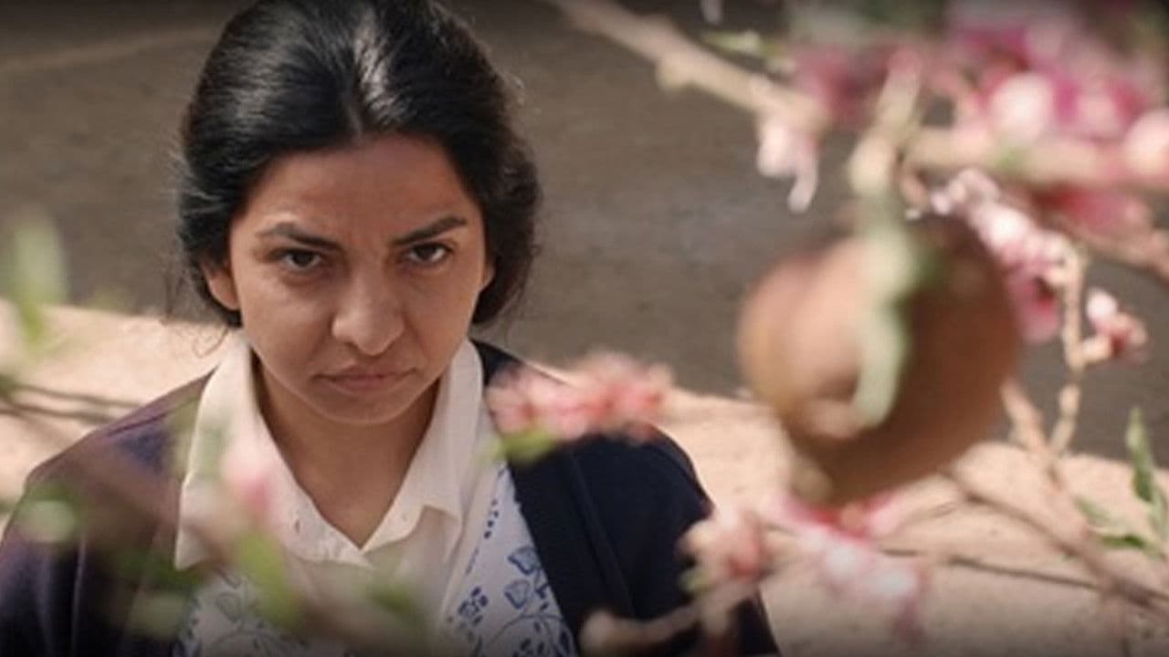 Duraznoの背景画像