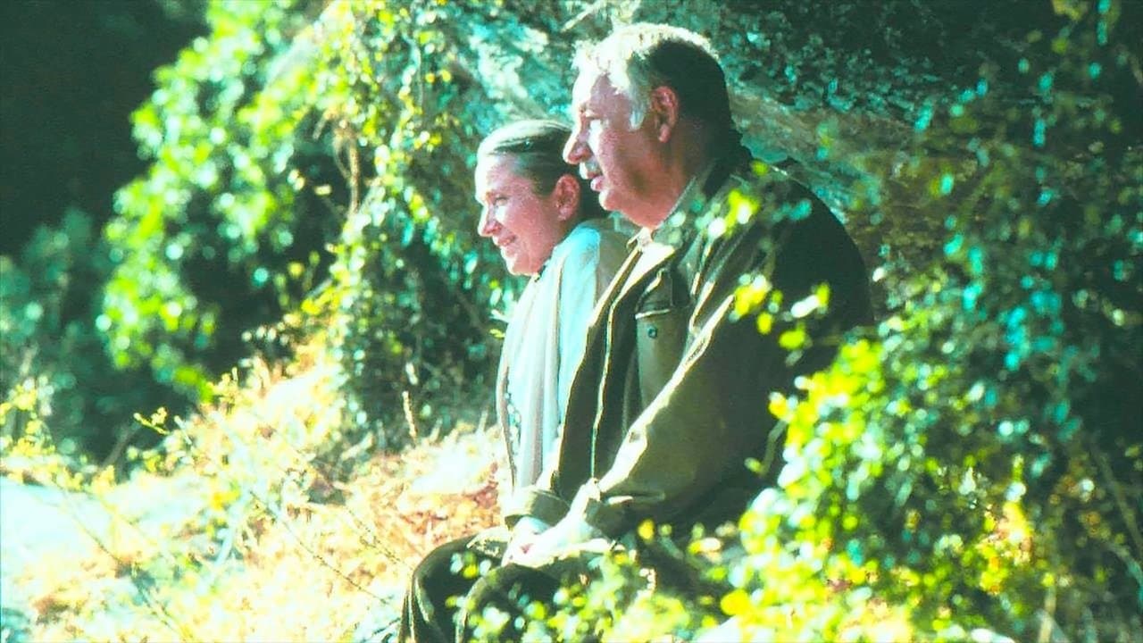 Nous deuxの背景画像