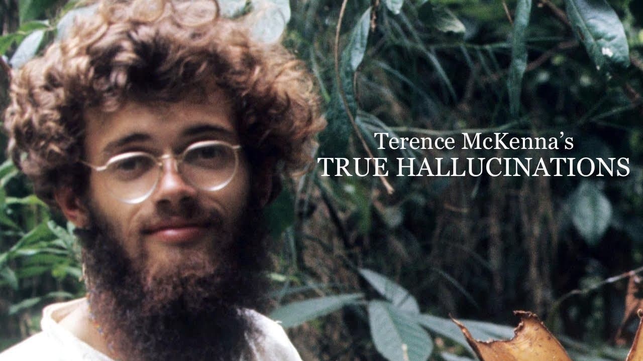Terence McKenna's True Hallucinationsの背景画像