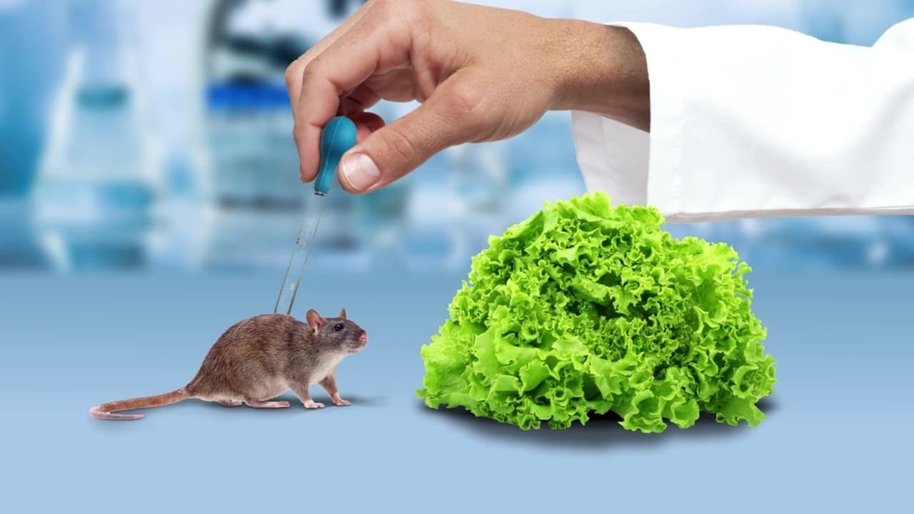 The Weight of Chains 3の背景画像