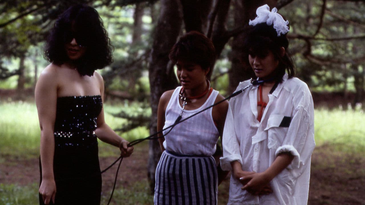 ザ･折檻２　快楽篇の背景画像