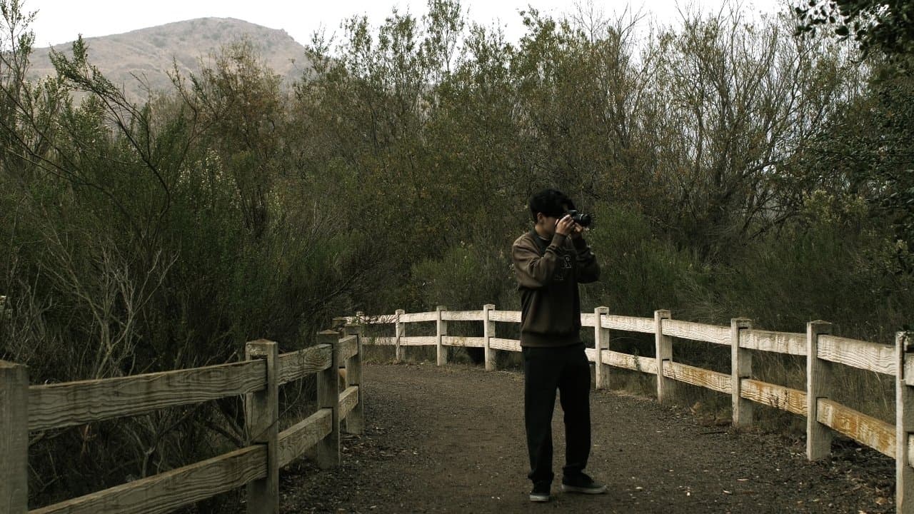 The Certain Imageの背景画像