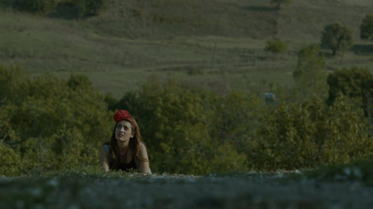 Martıの背景画像