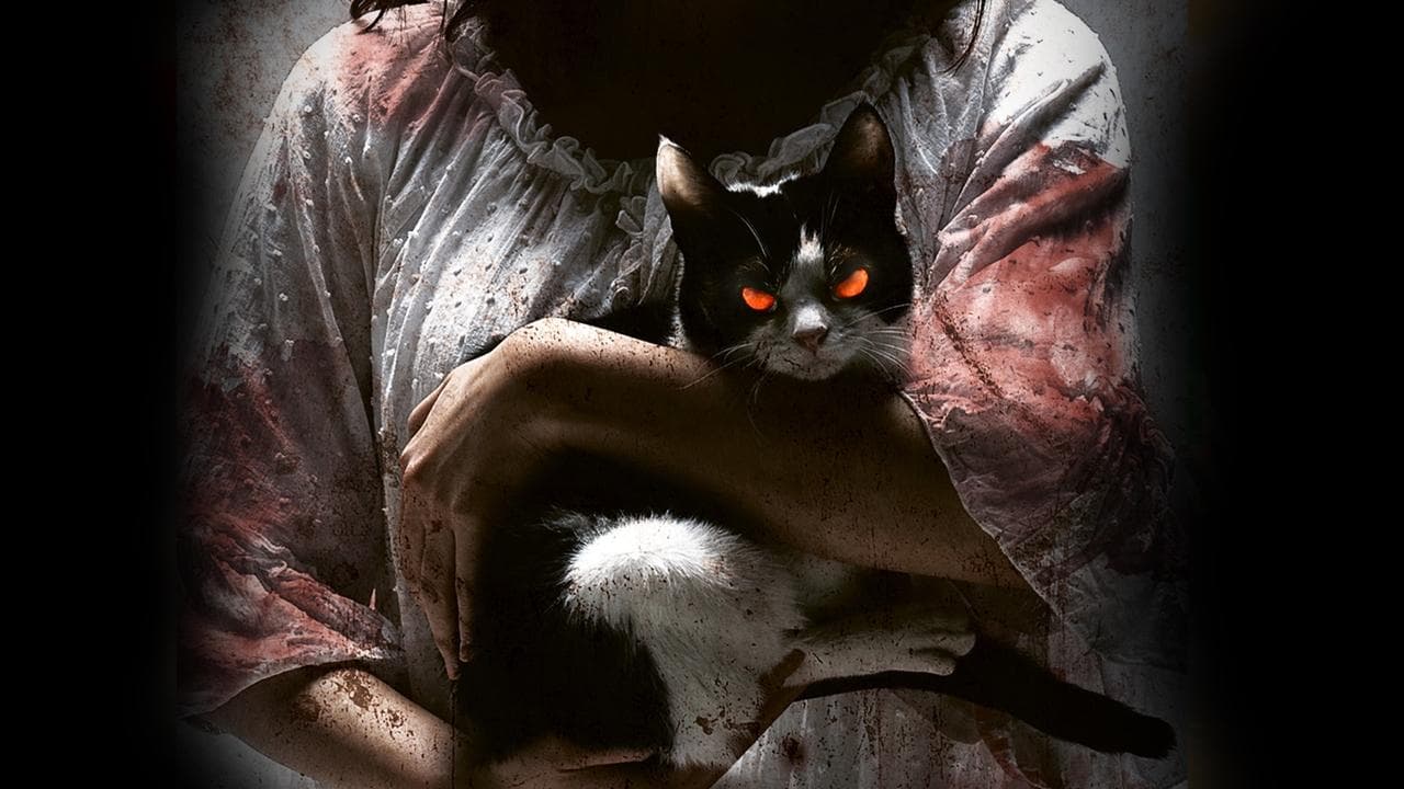 The Cat ザ・キャットの背景画像