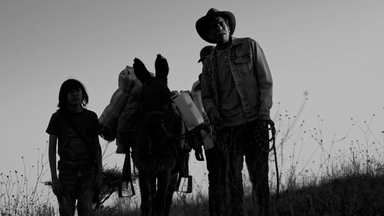 Mecateの背景画像