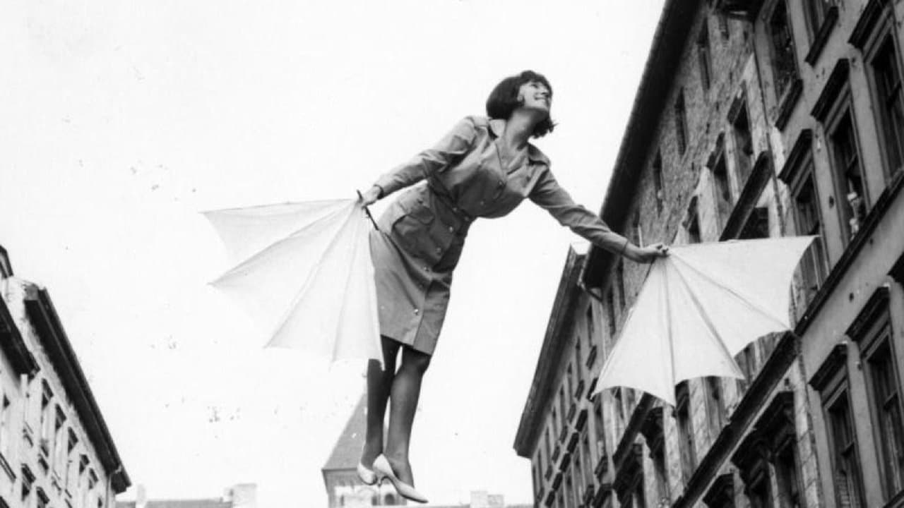 Fräulein Schmetterlingの背景画像