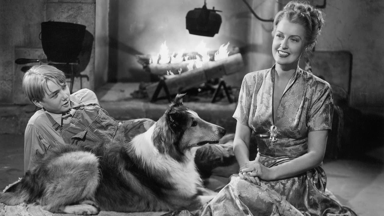 The Sun Comes Upの背景画像