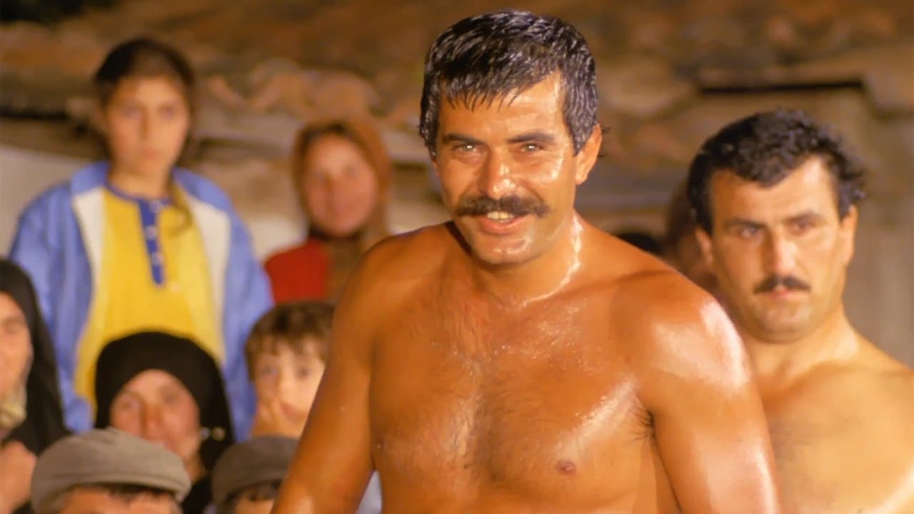 Pehlivanの背景画像