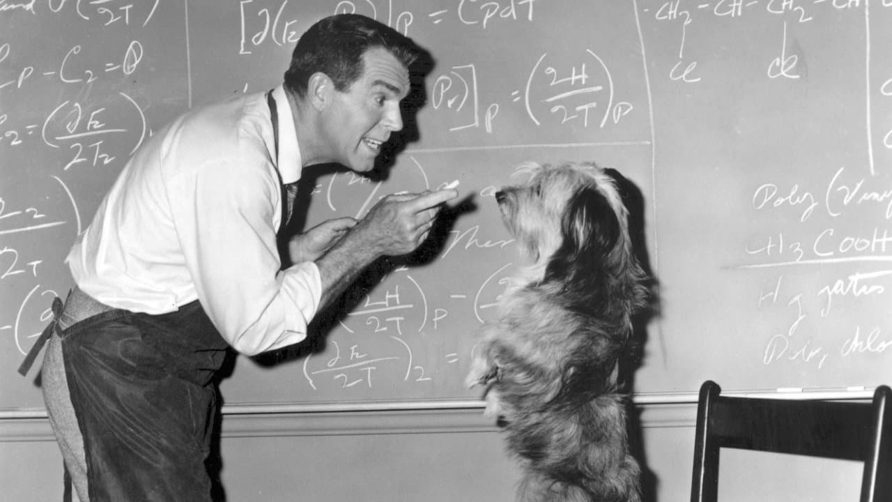 The Absent-Minded Professorの背景画像