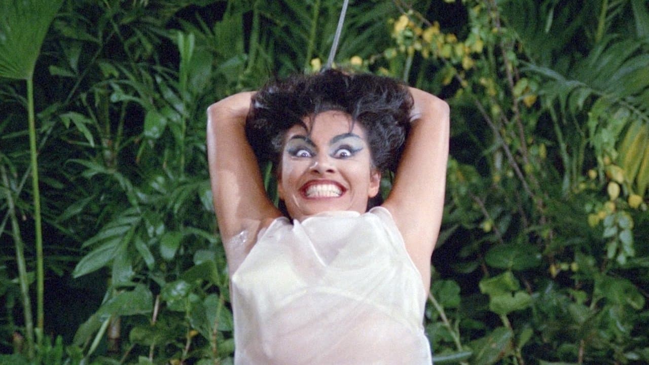 Six She's and a Heの背景画像